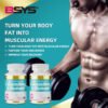 e1646c3a-90c8-45fb-81e6-fc9f6736a6ad.jpg L-Carnitine L-Tartrate 500mg – Boost Energy, Endurance & Weight Loss – 60 Capsules