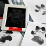 Inkless Cat & Dog Paw Print Kit – Safe Pet & Baby Memory Keepsake - Image 5